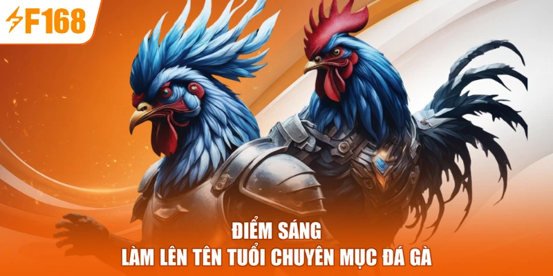 Điểm sáng làm lên tên tuổi chuyên mục đá gà 