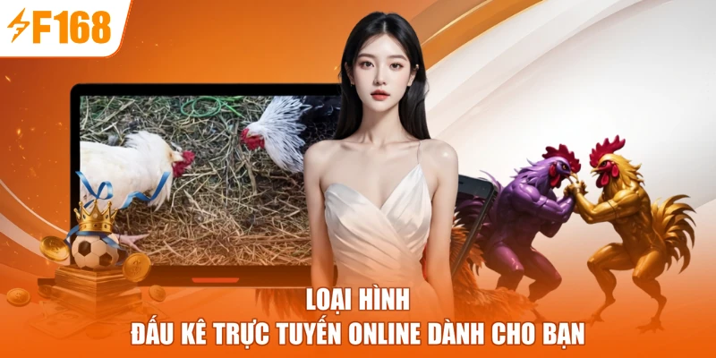 Loại hình đấu kê trực tuyến online dành cho bạn